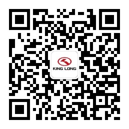 1781491036996
